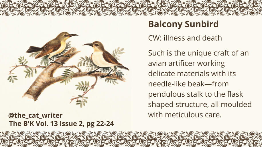 Image description Title: Balcony Sunbird, The B’K Vol. 13, Issue 2, page 22 to 24. CW: illness and death. The borders of the image feature a chain of flowers and on the left there are two olive backed sunbirds on a tree branch. Such is the unique craft of
